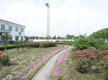 企业风貌